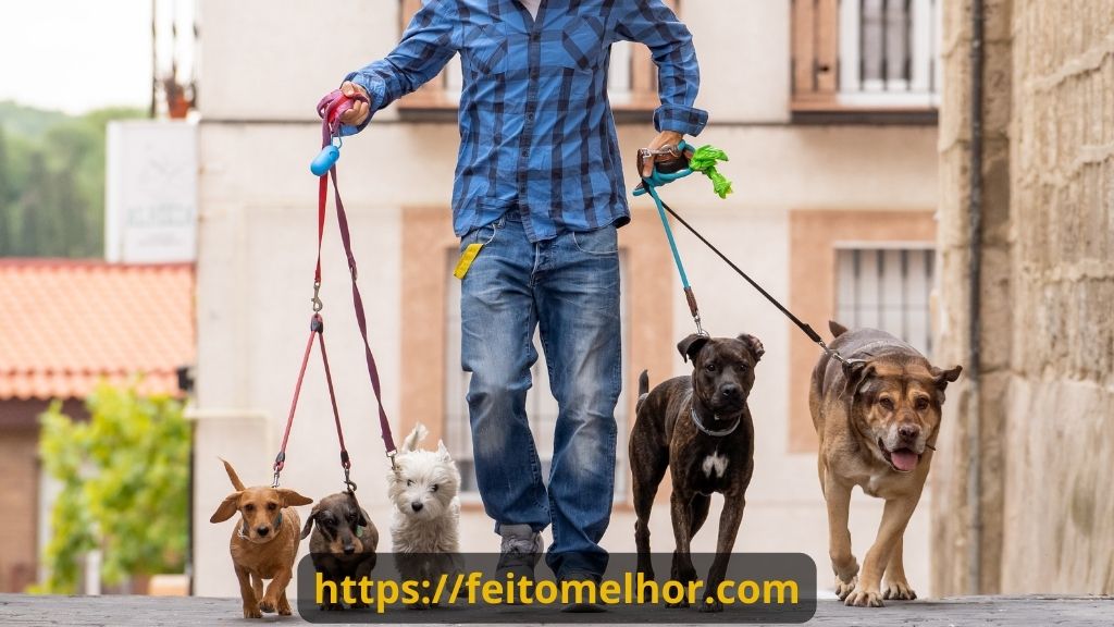 IDEIA DE RENDA EXTRA #101 - DOGWALKER